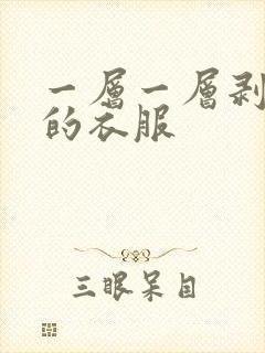一层一层剥开我的衣服