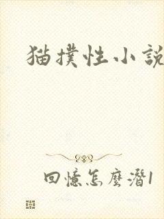 猫扑性小说