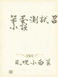 笨蛋测试召唤兽小说