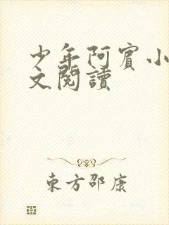 少年阿宾小说全文阅读