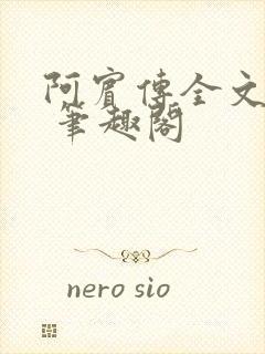 阿宾传全文阅读 笔趣阁