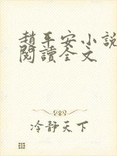 赵平安小说免费阅读全文