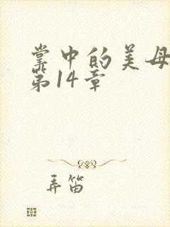 掌中的美母版主第14章