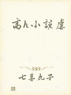 高h小说虐
