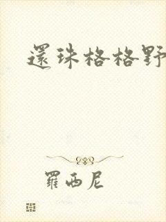 还珠格格野传封面