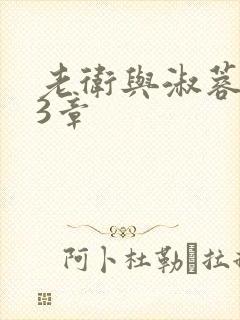 老卫与淑蓉第13章