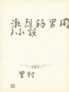 激烈的男同(h)小说