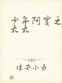 少年阿宾之房东太太