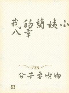 我的兰姨小说第八章