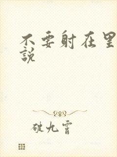 不要射在里面小说