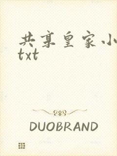 共享皇家小公主txt