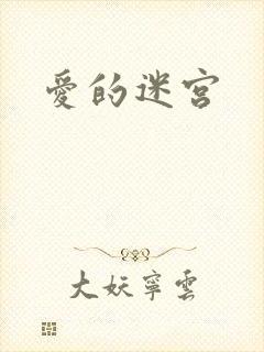 爱的迷宫封面