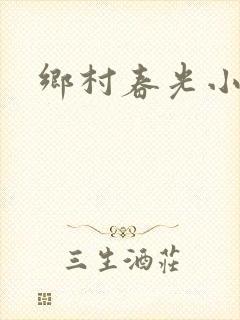 乡村春光小说