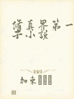 修真界第一病秧子小说