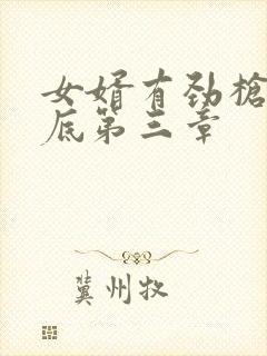 女婿有劲枪枪到底第三章