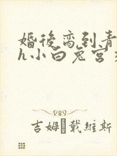 婚后脔到青梅哭h小白兔宫交h