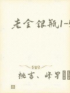 老金银瓶1-5