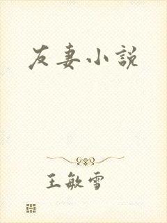 友妻小说封面