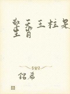 擎天玉柱是什么生肖