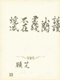 烧不尽小说无删减在线阅读