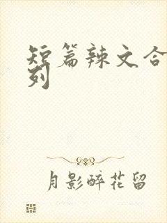 短篇辣文合集系列