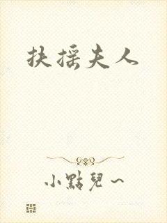 扶摇夫人封面