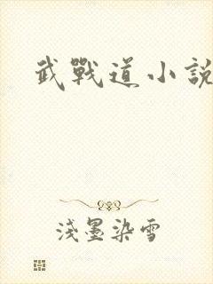 武战道小说封面