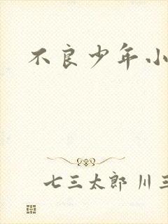 不良少年小说封面