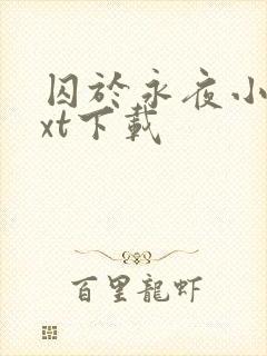 囚于永夜小说txt下载封面