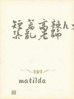 短篇高辣h文合集乱老师