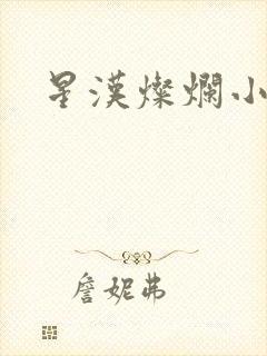 星汉灿烂小说