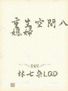 重生空间八零小媳妇