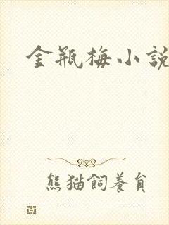 金瓶梅小说下载