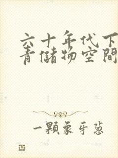 六十年代下乡知青储物空间封面