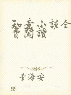 知意小说全文免费阅读封面