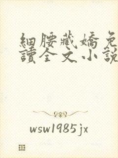 细腰藏娇免费阅读全文小说苏珞浅