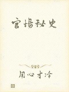 官场秘史