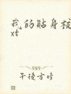 我的贴身校花txt封面