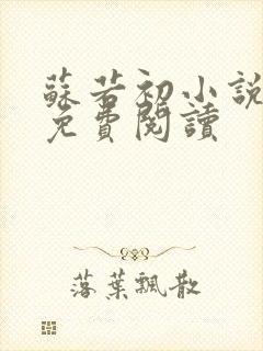 苏若初小说全文免费阅读