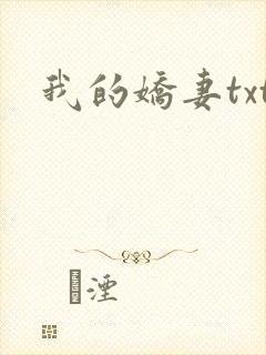 我的娇妻txt封面