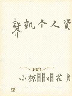 许凯个人资料简介封面