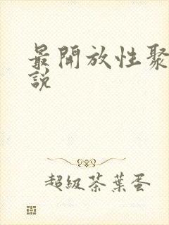 最开放性聚会小说