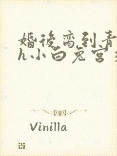 婚后脔到青梅哭h小白兔宫交h