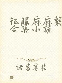 征服麻麻系列大合集小说