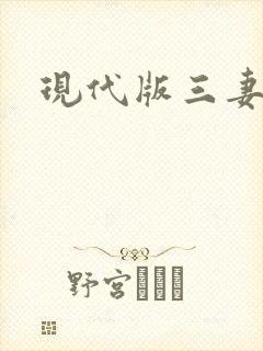 现代版三妻四妾