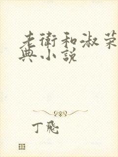 老卫和淑荣的经典小说