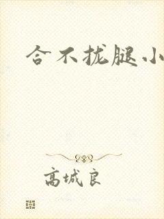 合不拢腿小说