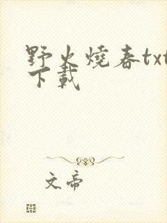 野火烧春txt下载
