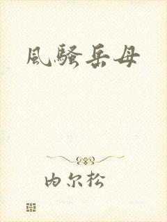风骚岳母