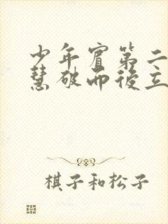 少年宾第二部珏慧破而后立